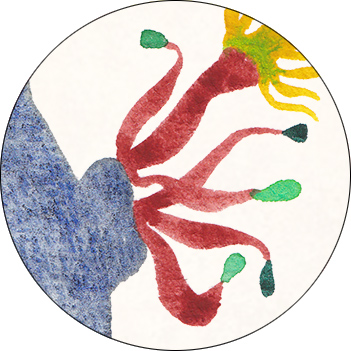 Herbier de la Sorciere Libre Detail Fleur 9 Venenatum Tentaculum Aquarelle CatMat